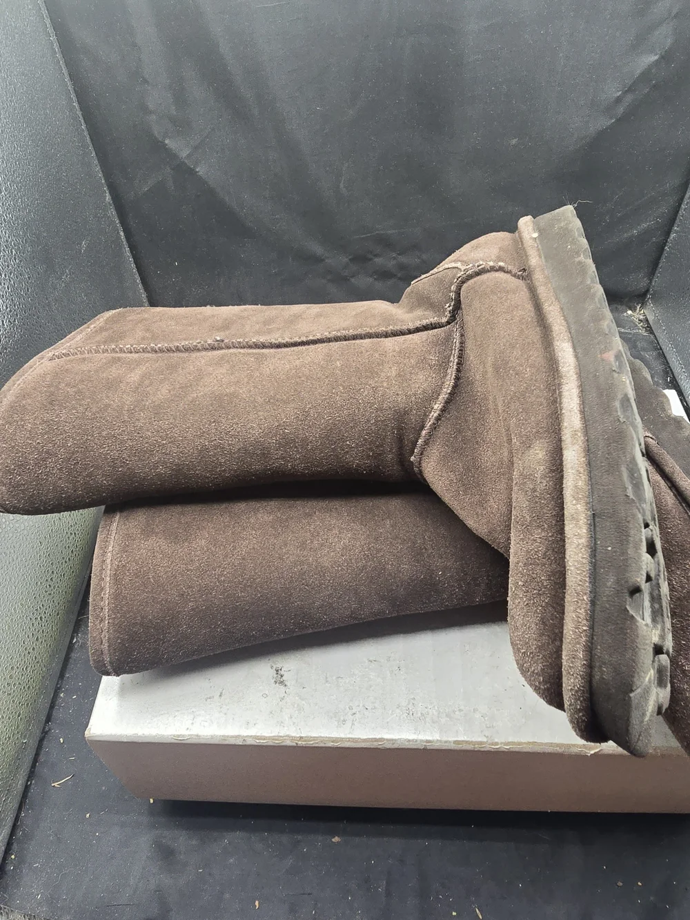 BearPaw classic tall